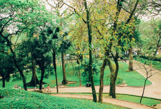 Bach-Thao-Park-Botanical-Garden-Hanoi-Vietnam-2